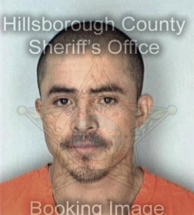 Manuel Mazas - Hillsborough County, FL 