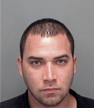 Nicolas Valenzuela, - Pinellas County, FL 