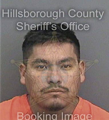 Vincent Benitez, - Hillsborough County, FL 