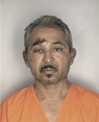 Mark Brents - Hillsborough County, FL 