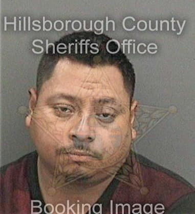 Yosmel Dosal, - Hillsborough County, FL 