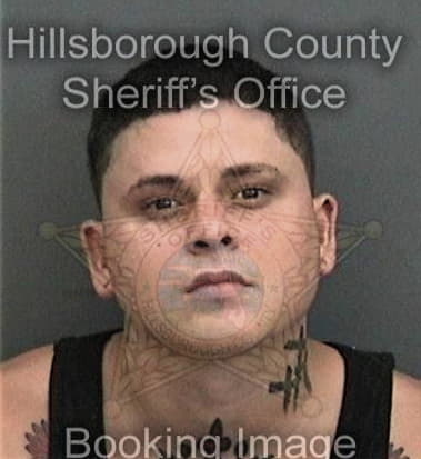 Sean Hurlstone, - Hillsborough County, FL 