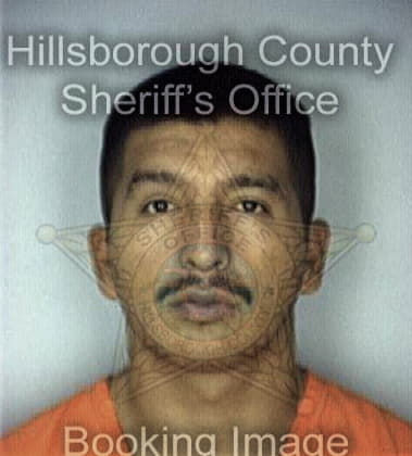 Brian Messick - Hillsborough County, FL 