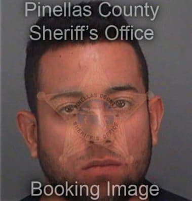 Arildo Araujo, - Pinellas County, FL 