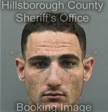 Hector Carcamorivera, - Hillsborough County, FL 