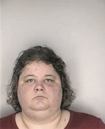 Alexis Mello - Hillsborough County, FL 