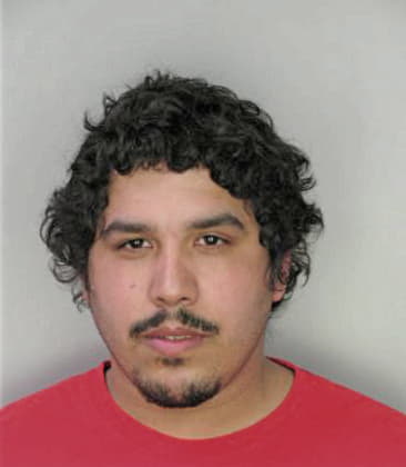 Luis Ortiz, - Hillsborough County, FL 