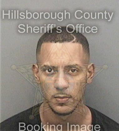 Rioger Ramirez, - Hillsborough County, FL 