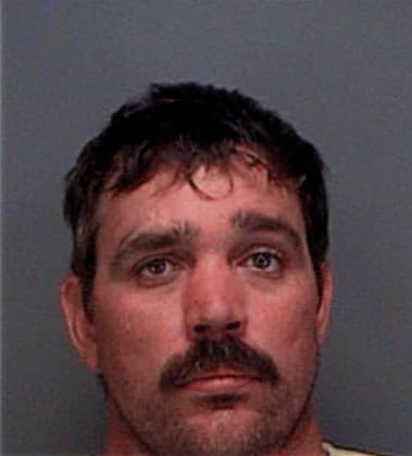 Ernesto Rangelzamudro, - Pinellas County, FL 