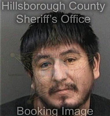 Andres Garciagallego, - Hillsborough County, FL 