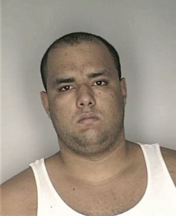 Rafael Gonzalez - Hillsborough County, FL 