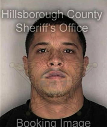 Nabil Laboy, - Hillsborough County, FL 