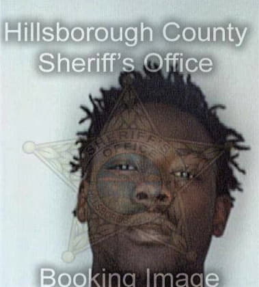 Jerry McAfee - Hillsborough County, FL 