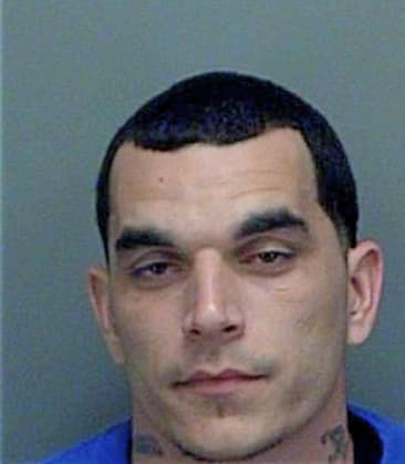 Christopher Mioduszewski, - Pinellas County, FL 