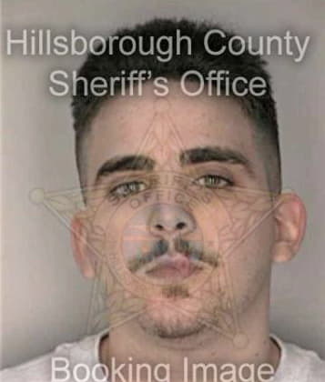 Hector Quinones, - Hillsborough County, FL 