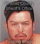 Omar Saucedo, - Pinellas County, FL 