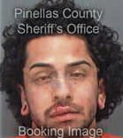 Daniel Amayarodriguez, - Pinellas County, FL 