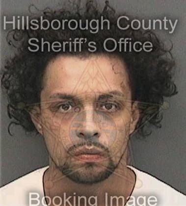 Daniel Golden, - Hillsborough County, FL 