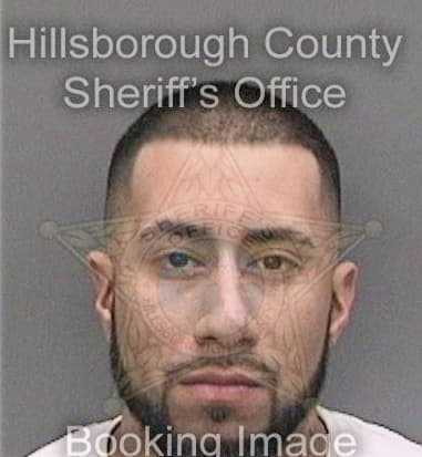 Ramiro Guzman, - Hillsborough County, FL 