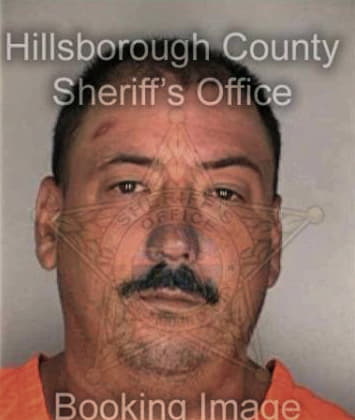 Beau McKinley - Hillsborough County, FL 