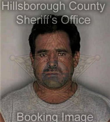 Stephen Mulligan, - Hillsborough County, FL 