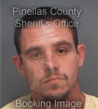 Michael Palmer, - Pinellas County, FL 