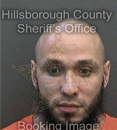 Anthony Skaggs, - Hillsborough County, FL 