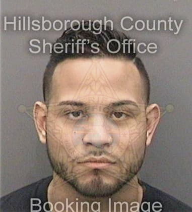 Michael Smith, - Hillsborough County, FL 