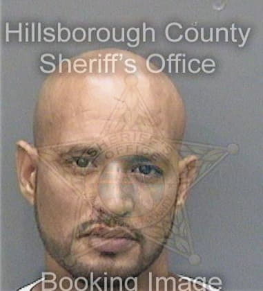 Hector Zamorasebastian, - Hillsborough County, FL 