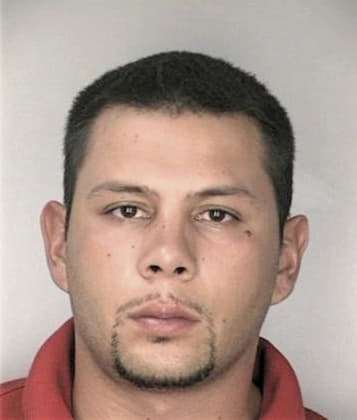 David Cleveland - Hillsborough County, FL 