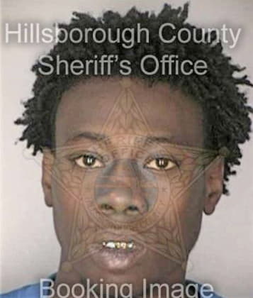 Romain Felix, - Hillsborough County, FL 