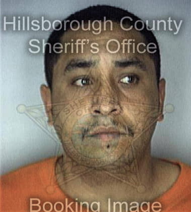 Miguel Fernandez, - Hillsborough County, FL 