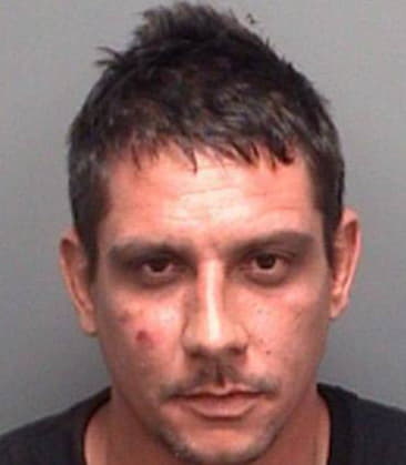 Nicholas Hogston, - Pinellas County, FL 