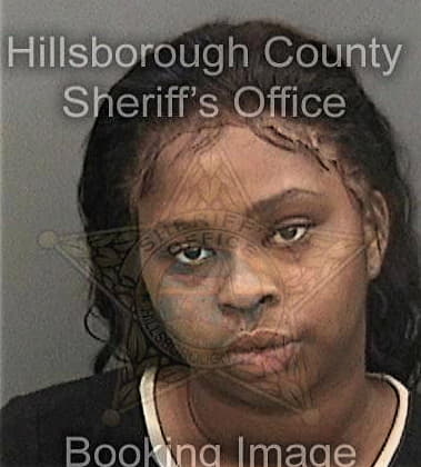 Damonshay James, - Hillsborough County, FL 