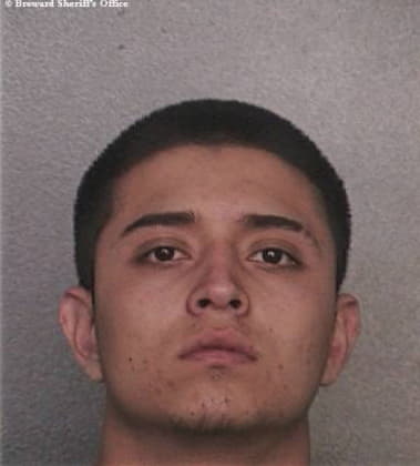 Armando Martinezbalderas, - Broward County, FL 