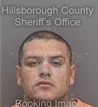 Dennis Pellegrini, - Hillsborough County, FL 