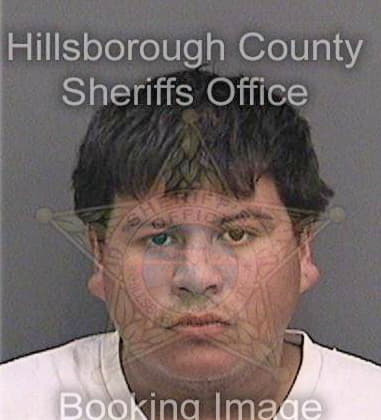 Timothy Townsend, - Hillsborough County, FL 