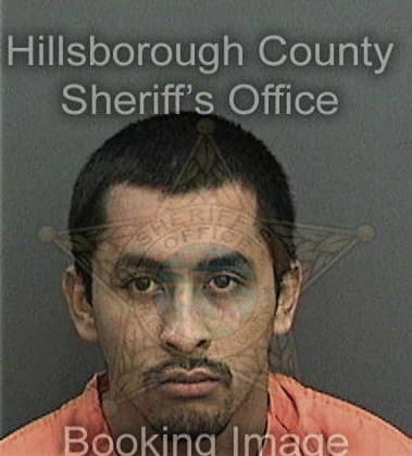 Maximillian Zelaya, - Hillsborough County, FL 