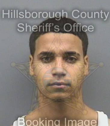 Jonathan Bowie - Hillsborough County, FL 