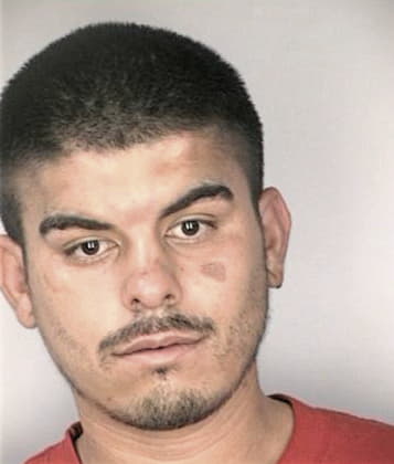 Miguel Lizazo, - Hillsborough County, FL 