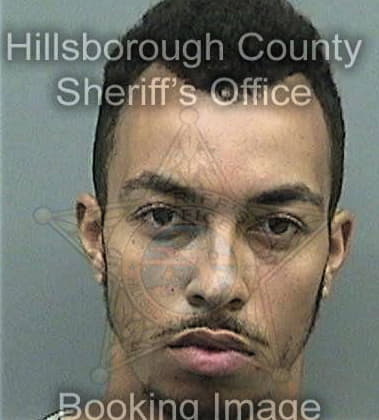 Gerald Mathews, - Hillsborough County, FL 