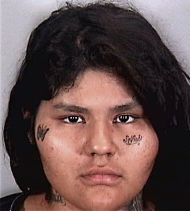 Erika Ortiz, - Manatee County, FL 