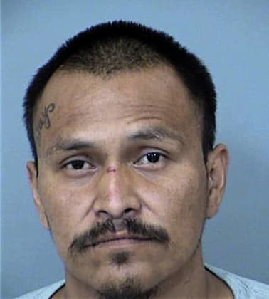 Robbie Robertson - Maricopa County, AZ 