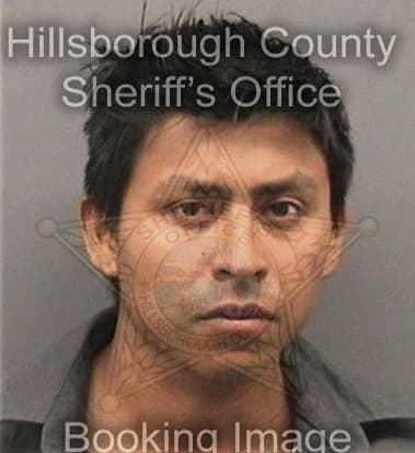 Joshua Stark, - Hillsborough County, FL 