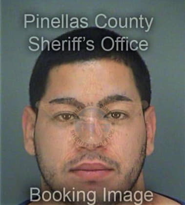 David Vazquez, - Pinellas County, FL 