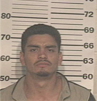 David Benavides, - Hidalgo County, TX 