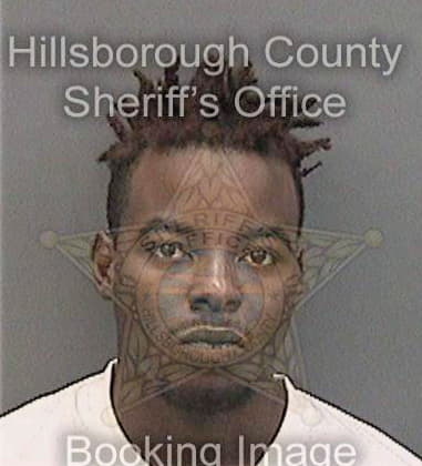 Javeve Johnsonlewis, - Hillsborough County, FL 