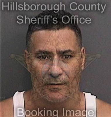 Manuel Liceaperez, - Hillsborough County, FL 