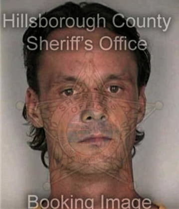 Joel Mendezvillegas - Hillsborough County, FL 