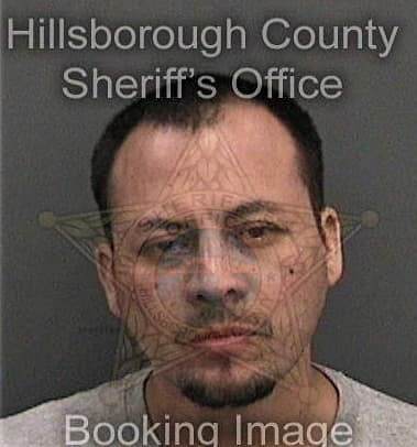 David Nevarezdiaz, - Hillsborough County, FL 